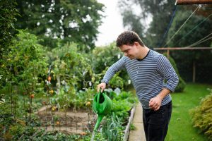 Young adult watering plants in a vegetable garden